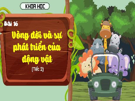 Bài giảng Khoa học Lớp 5 (Kết nối tri thức) - Bài 16: Vòng đời và sự phát triển của động vật (Tiết 2) - Năm học 2024-2025 - Phan Thị Trinh
