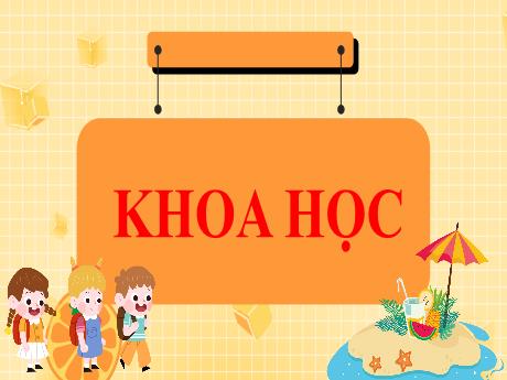 Bài giảng Khoa học Lớp 5 (Kết nối tri thức) - Bài 16: Vòng đời và sự phát triển của động vật - Năm học 2024-2025 - Phan Thị Ánh Tuyết