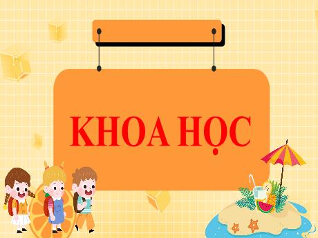 Bài giảng Khoa học Lớp 5 (Kết nối tri thức) - Bài 2: Ô nhiễm, xói mòn đất và bảo vệ môi trường đất (Tiết 1) - Năm học 2024-2025 - Phan Thị Ánh Tuyết