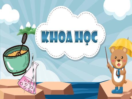 Bài giảng Khoa học Lớp 5 (Kết nối tri thức) - Bài 3: Hỗn hợp và dung dịch (Tiết 2) - Năm học 2024-2025 - Phan Thị Trinh