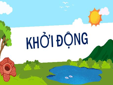 Bài giảng Tiếng Việt Lớp 5 (Viết) Sách Kết nối tri thức - Bài: Viết đoạn văn tả phong cảnh - Năm học 2024-2025 - Phan Thị Trinh