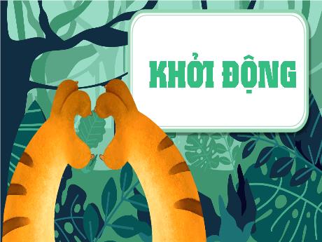 Bài giảng Toán Lớp 5 (Kết nối tri thức) - Bài 3: Ôn tập phân số (Tiết 1) - Năm học 2024-2025 - Phan Thị Ánh Tuyết