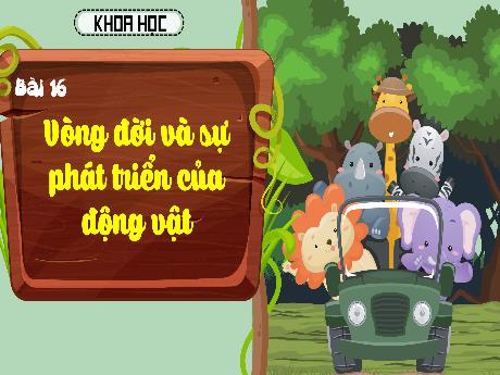 Bài giảng Khoa học Lớp 5 (Kết nối tri thức) - Bài 16: Vòng đời và sự phát triển của động vật