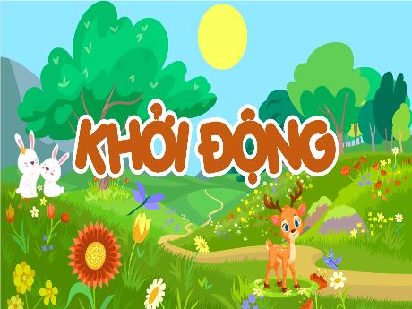 Bài giảng Khoa học Lớp 5 (Kết nối tri thức) - Bài 17: Ôn tập chủ đề động vật và thực vật