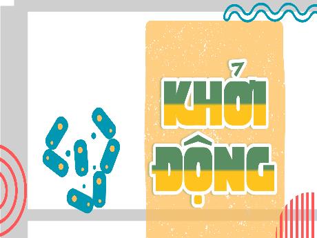 Bài giảng Khoa học Lớp 5 (Kết nối tri thức) - Bài 18: Vi khuẩn xung quanh chúng ta - Năm học 2024-2025 - Phan Thị Trinh